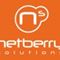 Netberry Solutions