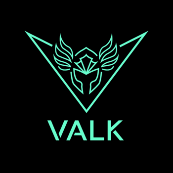 VALK GAMING